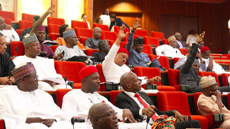 Senate Passes Bill To Increase CBN Loans To Federal Government