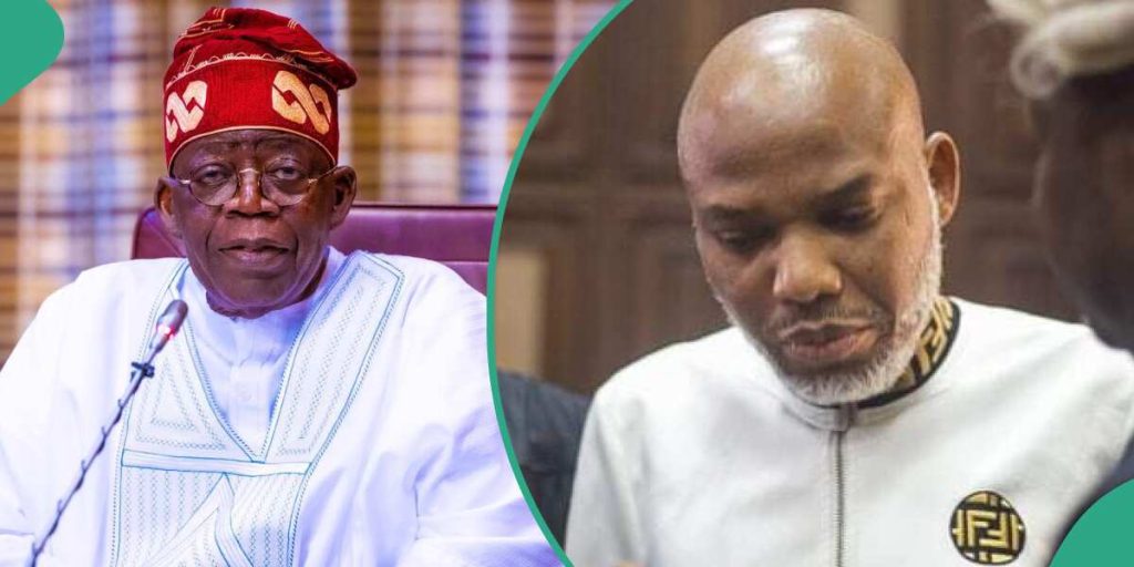 2027: Give Nnamdi Kanu contract, release him to get more votes – Fayose to Tinubu