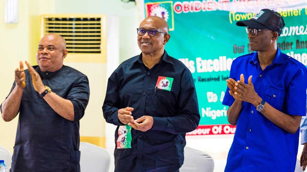 We Will Emerge Stronger If We Put Our Differences Aside – Peter Obi To Party Members