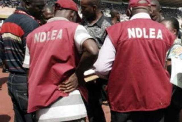 NDLEA Seizes 148 Cartons Of Laughing Gas During Raid On Posh Lagos Estate, Arrests Female Suspect