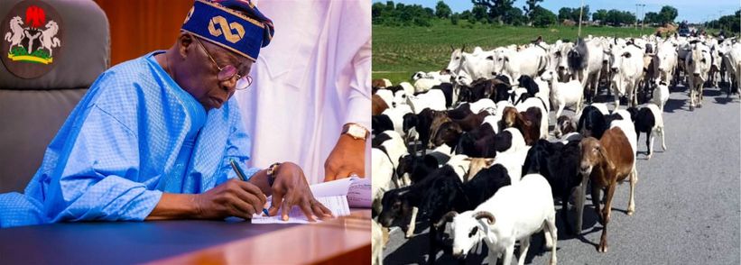 Why Ministry Of Livestock Has Not Taken Off – Abubakar Kyari