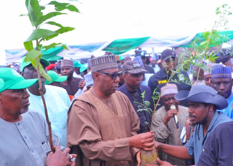 Governor Zulum Launches Borno’s 2024 Tree Planting With 10m Seedlings