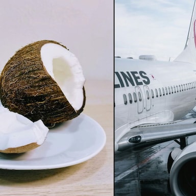 See Why You Can't Board A Plane With Coconut In Your Baggage