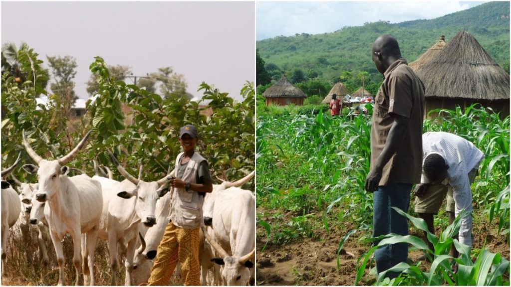 3 Killed In Adamawa Farmers, Herders Clash