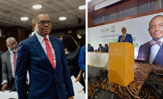 BREAKING: Afam Osigwe Sworn In As 32nd NBA President