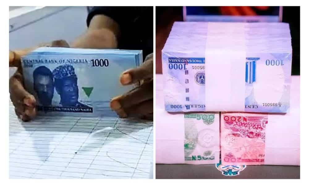 Naira Among 10 Worst Performing Currencies Globally - Report