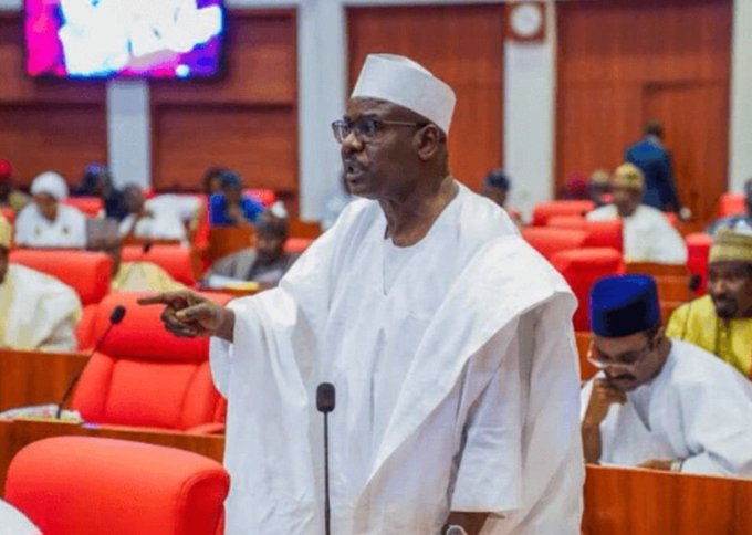 Nigerians Celebrate Those Who Steal Public Funds – Senator Ndume