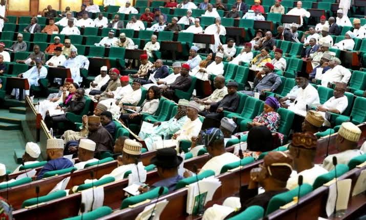 BREAKING: Reps Tackle Tinubu, Demand Immediate Submission of 2025 Budget