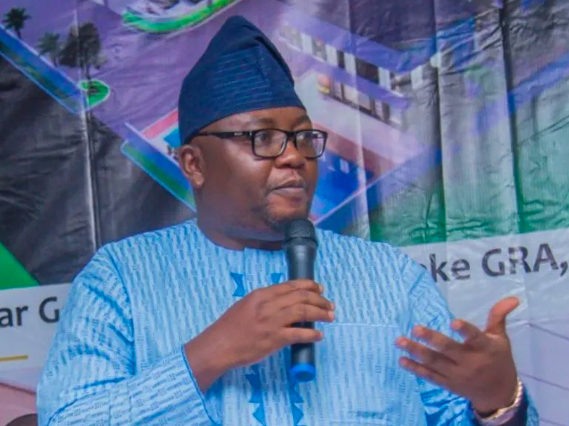 Nigerians Not Making Noise About ₦1k Per Litre Due To Reduced Reliance On Generators – Power minister