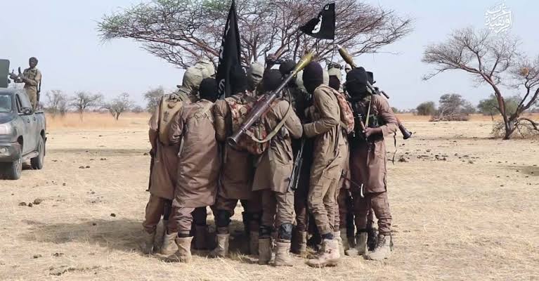 Boko Haram Terrorists In Disturbing Video, Executes Two Red Cross Staff, Woman In Borno