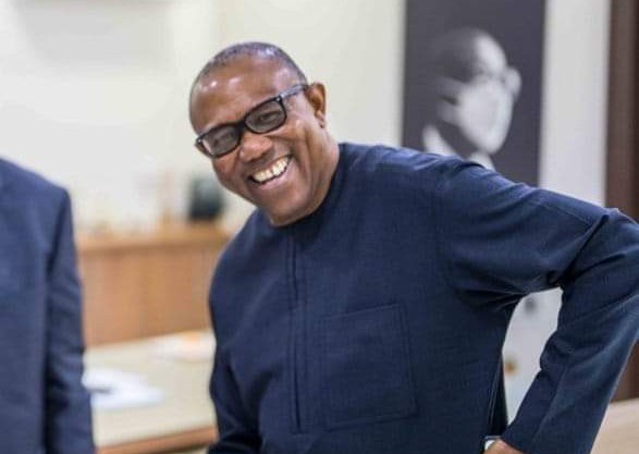 What I Told Nigerians In The US About Their Country – Peter Obi