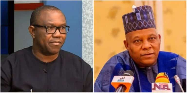 Peter Obi Slams Borno Speaker's Request for New Aircraft for Shettima as Insensitive