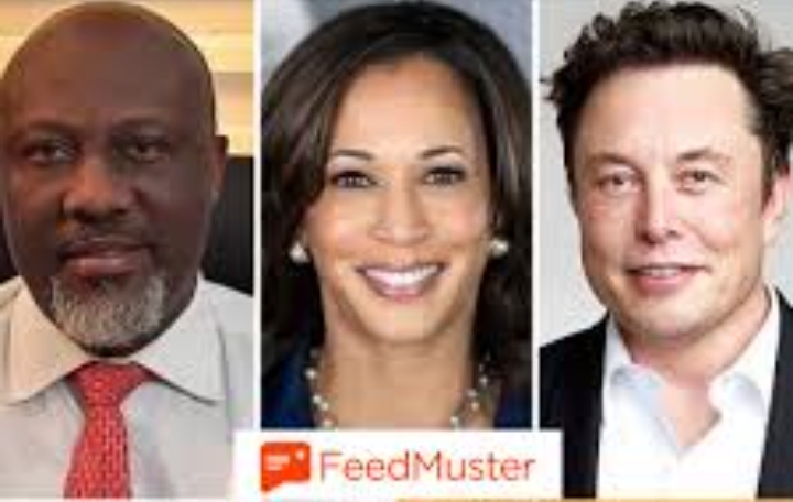 If Elon Musk Will Not Stop Harassing Kamala Harris, I Will Sell My Tesla - Dino Melaye