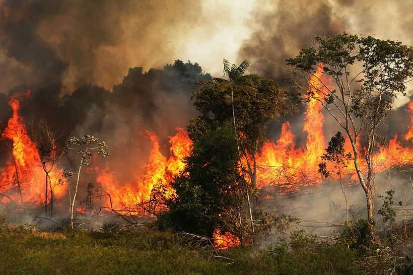JUST IN: Bandits Set Fire to Farmlands in Kaduna, Destroying Crops Ahead of Harvest