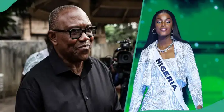 Peter Obi Celebrates Chidimma Adetshina's Remarkable Achievement at Miss Universe