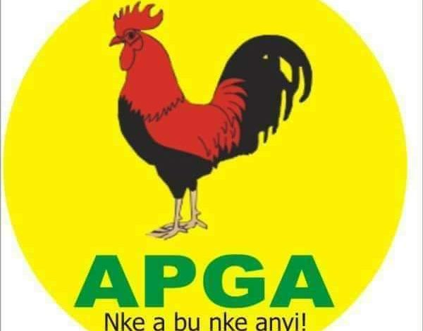 INEC Reinstates Ezeokenwa as APGA National Chairman, Criticizes Njoku for Impersonation