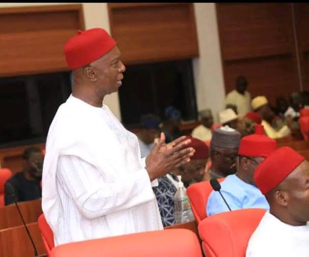 Ned Nwoko: Creation of Anioma State is Not Just a Political Agenda, It's for the Igbos