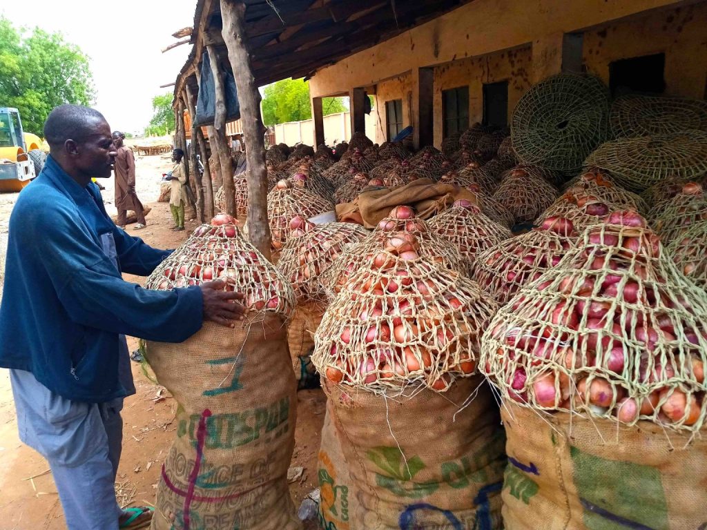 Onion Prices in Nigeria Surge by 200% Ahead of Christmas and New Year Celebrations