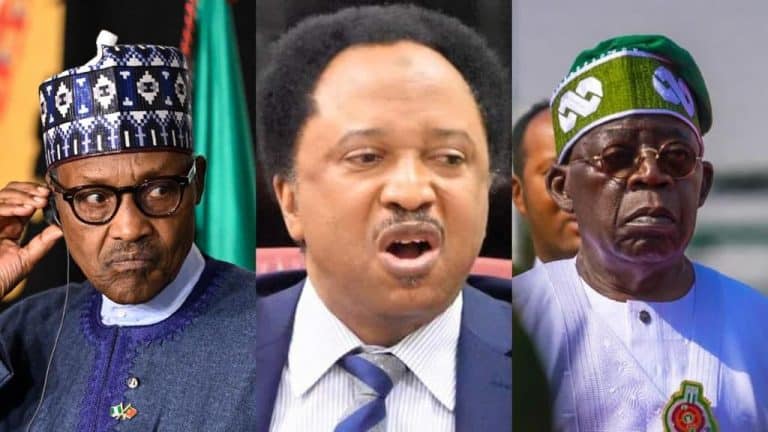 Tax Reform Bills: You Kept Quiet Under Buhari – Shehu Sani Slams Northerners Over Threats to Tinubu