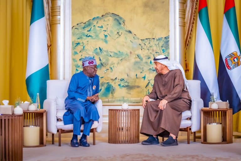 Key Insights from Tinubu's High-Stakes Meeting with UAE President