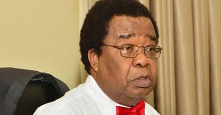 It’s A Slap On Our Face, Nigeria Should Never Have Accepted To Be A BRICS Partner Country – Prof Akinyemi