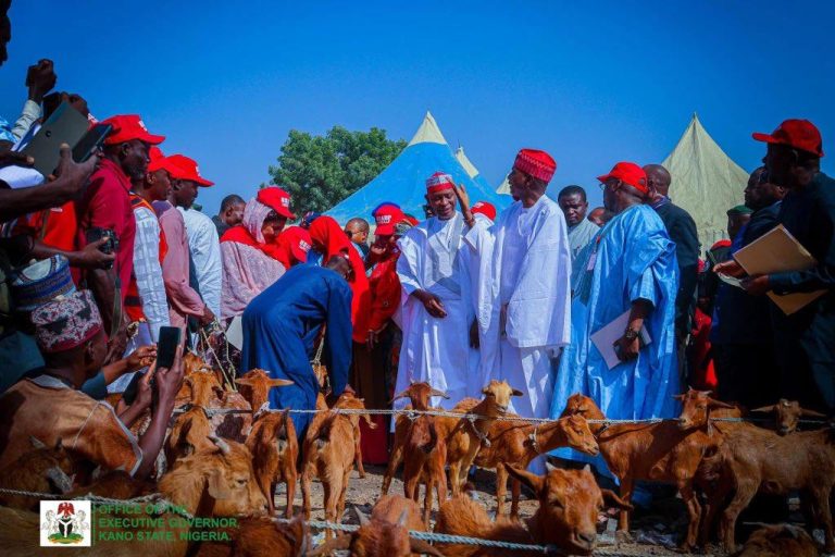 Gov Yusuf Empowers Kano Women With Red Goats