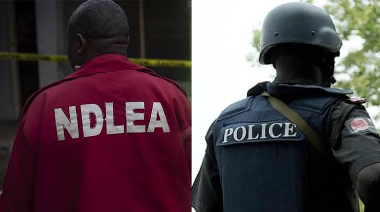 Drama As Police, NDLEA Clash Over Suspected Drug Dealer