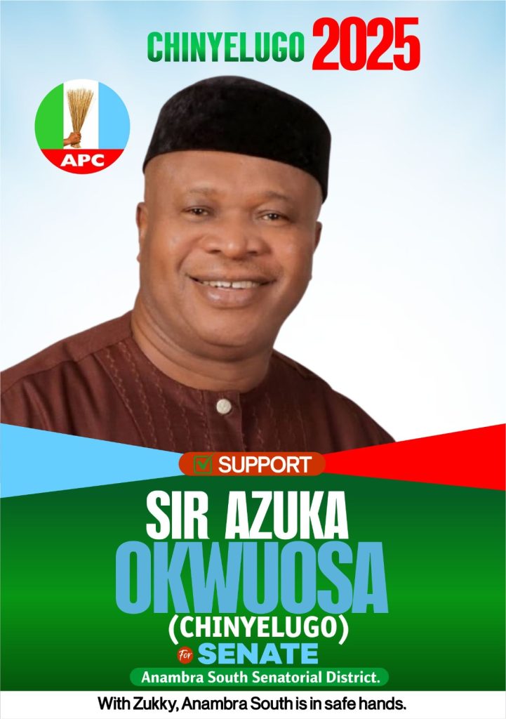 Azuka Okwuosa & Anambra South Senate By-Election: Case For A Cerebral Candidate