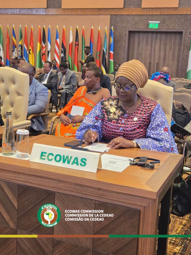 West African Nations Seek To Rejoin ECOWAS After Withdrawal – Nigerian Govt