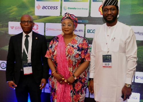 Access Bank Champions Accelerated Action for Africa’s Sustainable Future