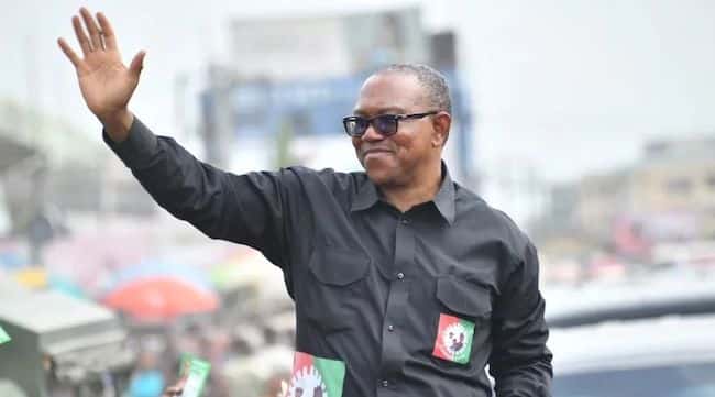 Labour Party Names Peter Obi 2027 Presidential Candidate, Says ‘We Are United Under Him’ 