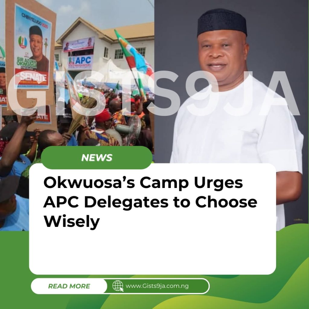 Capacity Over Sentiment: Okwuosa’s Camp Urges APC Delegates to Choose Wisely