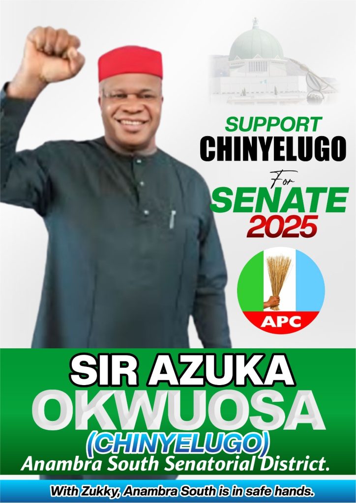 Anambra South Needs a Master Strategist for the Senatorial By-Election: Sir Azuka Okwuosa’s Health Roadmap Offers Timely Solutions