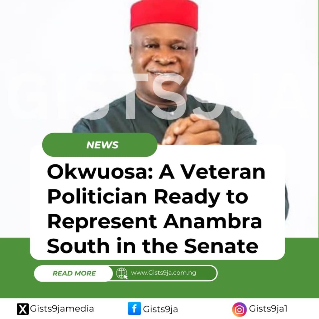 Okwuosa: A Veteran Politician Ready to Represent Anambra South in the Senate