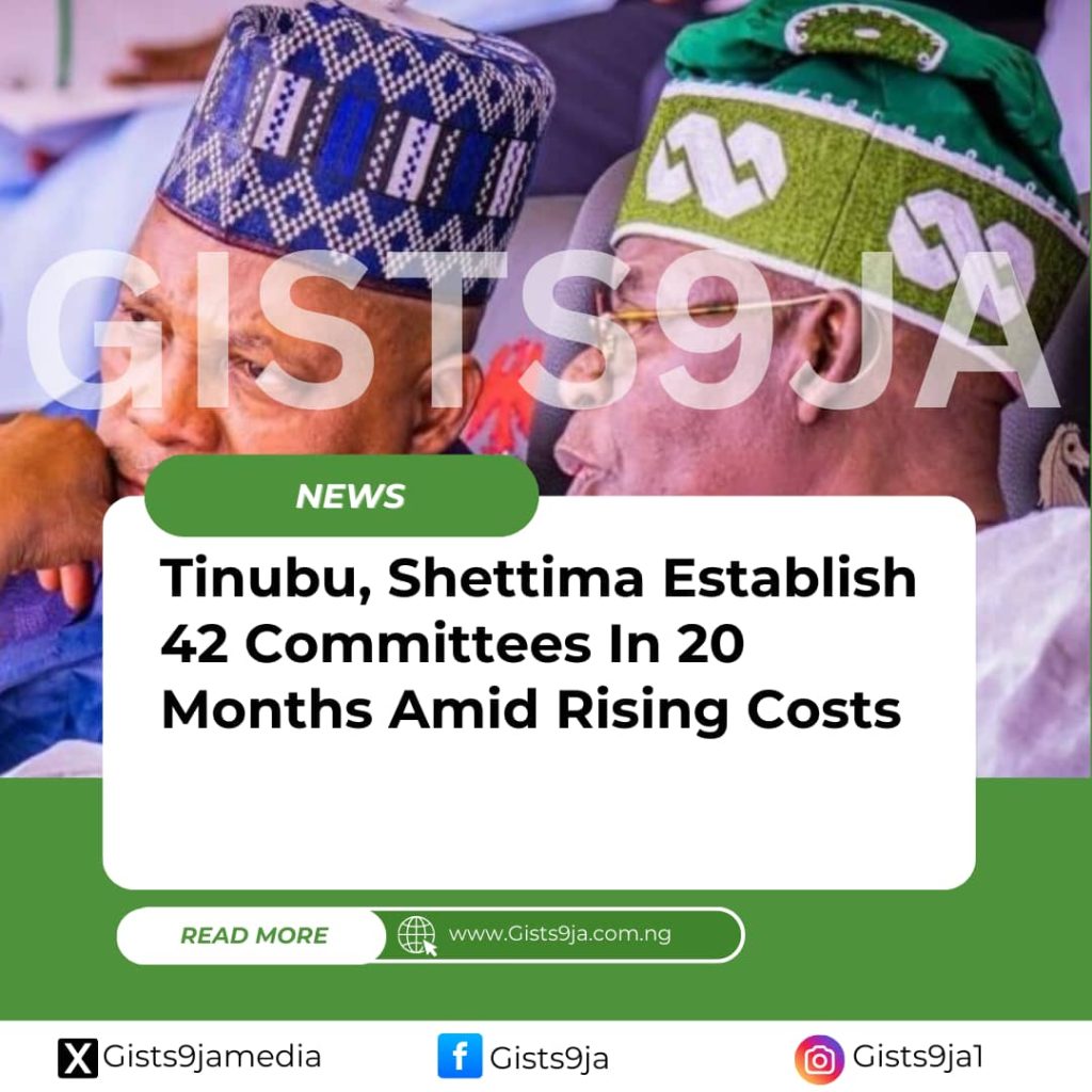 Tinubu, Shettima Establish 42 Committees In 20 Months Amid Rising Costs