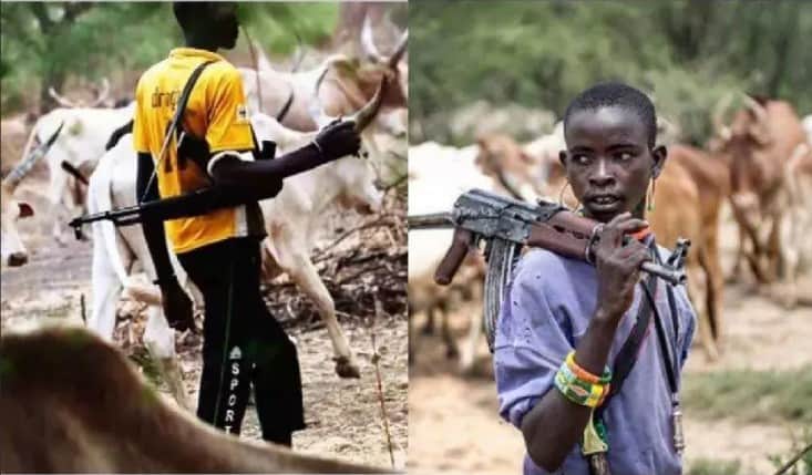 Suspected Herders Kill 20 People In Ondo Farm Settlements