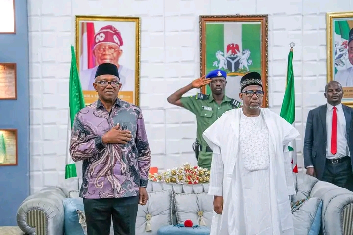 2027: PDP Governors, Obi, NNPP In Talks Over Alliance