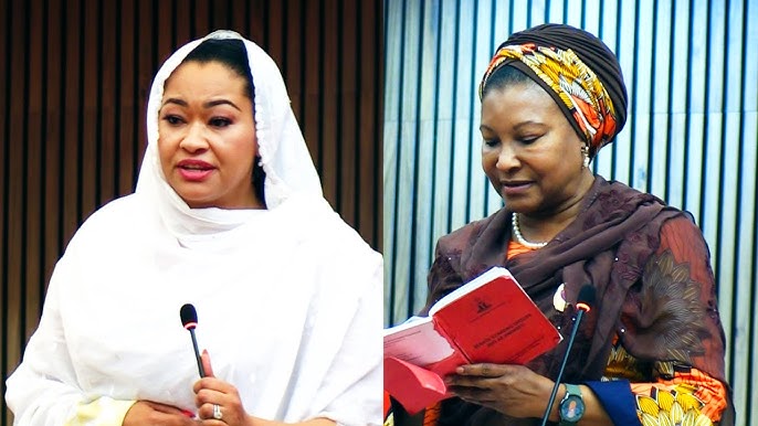 I Will Champion Natasha’s Sexual Harassment Allegation Against Akpabio – Ireti Kingibe