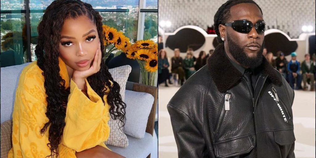 Burna Boy: Chloe Bailey Sparks Breakup Speculation with Emotional Music Cover [Video]