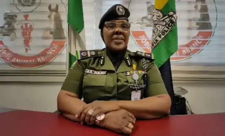 “I Never Planned To Become A Police Officer” – Most Senior Female Police Officer In Nigeria