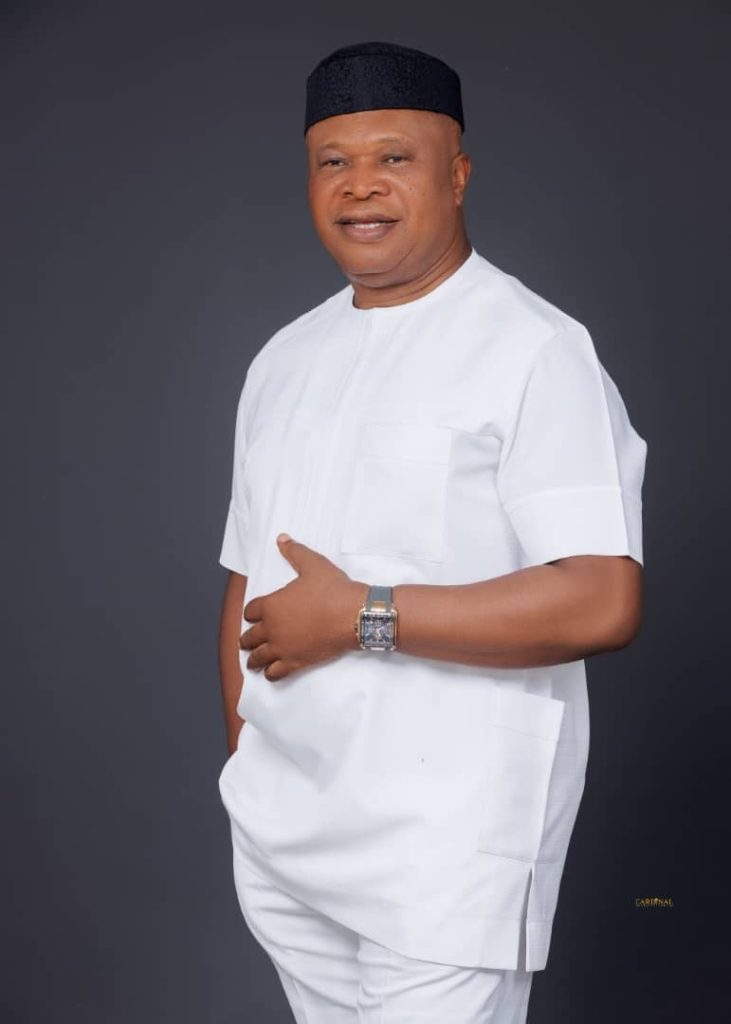 Anambra South: Okwuosa Hails Senate’s Decision, Urges INEC to Conduct By-Election Swiftly