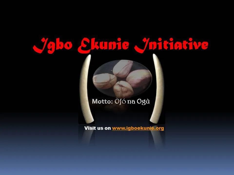 Igbo Ekunie Initiative Demands Urgent Security Action: Southeast Governors Must Activate Anyiaoha Now!