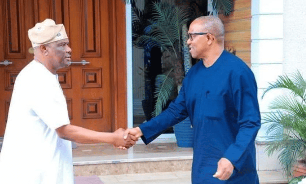 Why I Didn’t Support Peter Obi in 2023 – FCT Minister Nyesom Wike