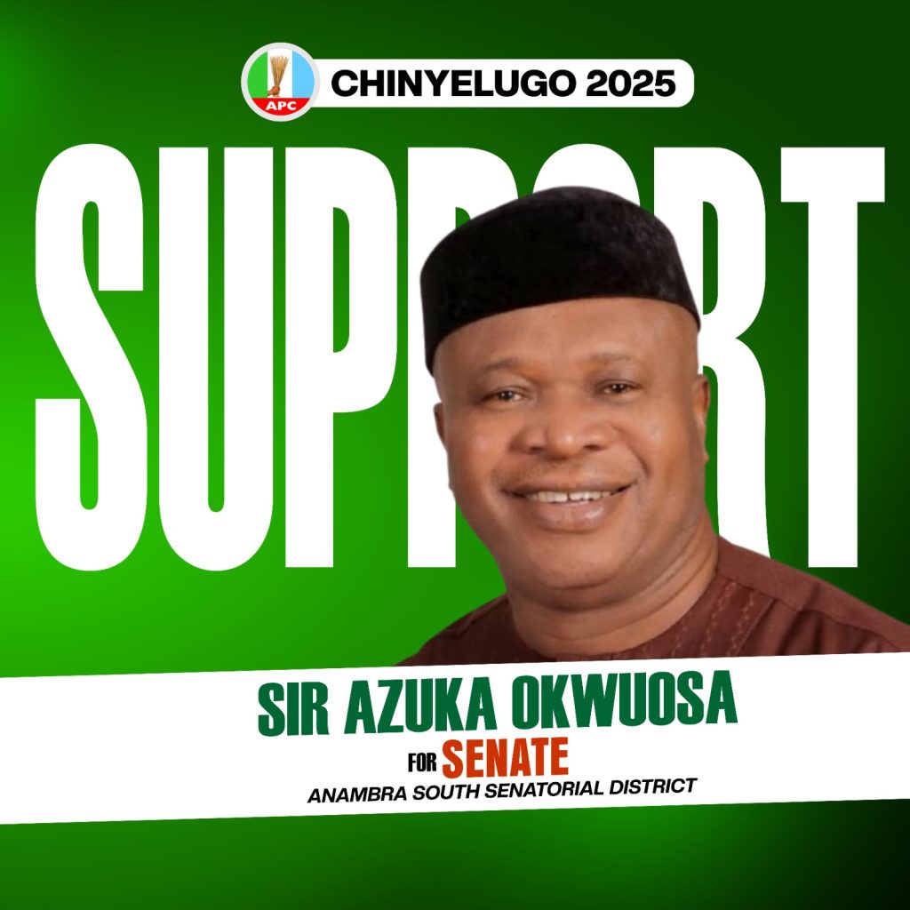 Purposeful Representation: Sir Azuka Okwuosa's Sacrosanct Mission In The Senate