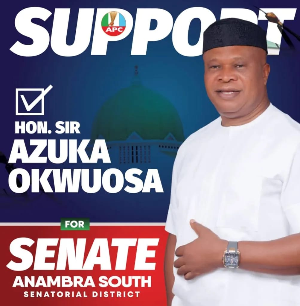 Sir Azuka Okwuosa: A Hallmark Of Responsible And Workable Representation