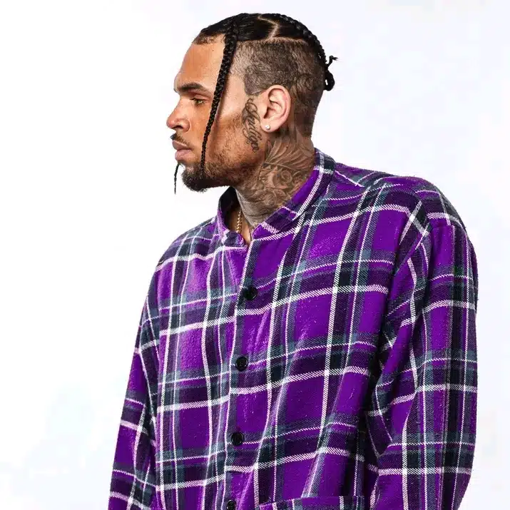 Chris Brown Reportedly Arrested
