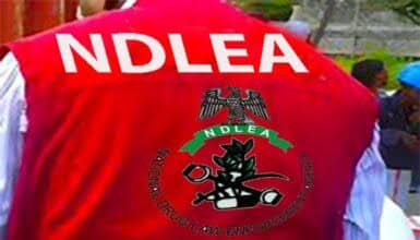 NDLEA Crushes Drug Rings Across Nigeria, Confiscates Cocaine Hidden in Lipsticks, Land Documents