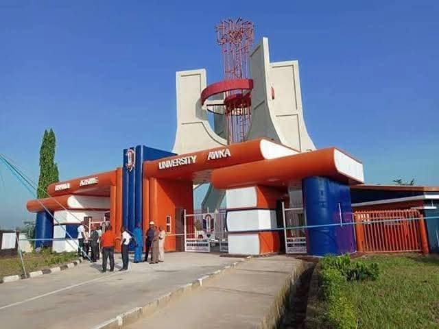 The Vice Chancellor UNIZIK Needs - By Orakwue Chikelue