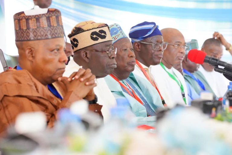“It’ll Bring Chaos” — North-East APC Youths Warn Against Removing Shettima As VP Candidate In 2027