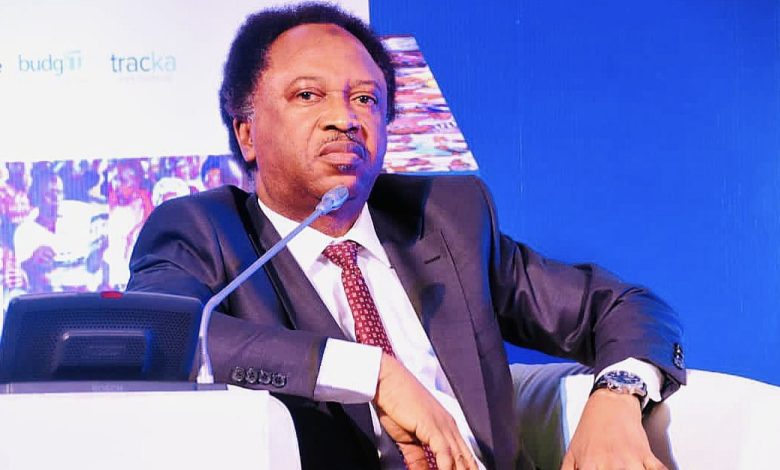 North-west, South-west Biggest Beneficiaries Under Buhari And Tinubu- Shehu Sani